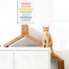 Poster Retrò Metallico One Week Rainbow Day Decorazione