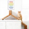 Poster metallo vintage One Week Rainbow Day decorazione